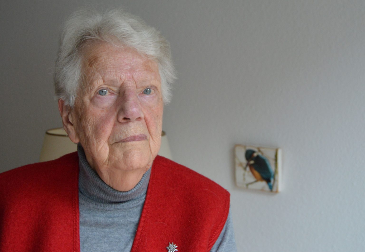 Mieterverein zu Hamburg