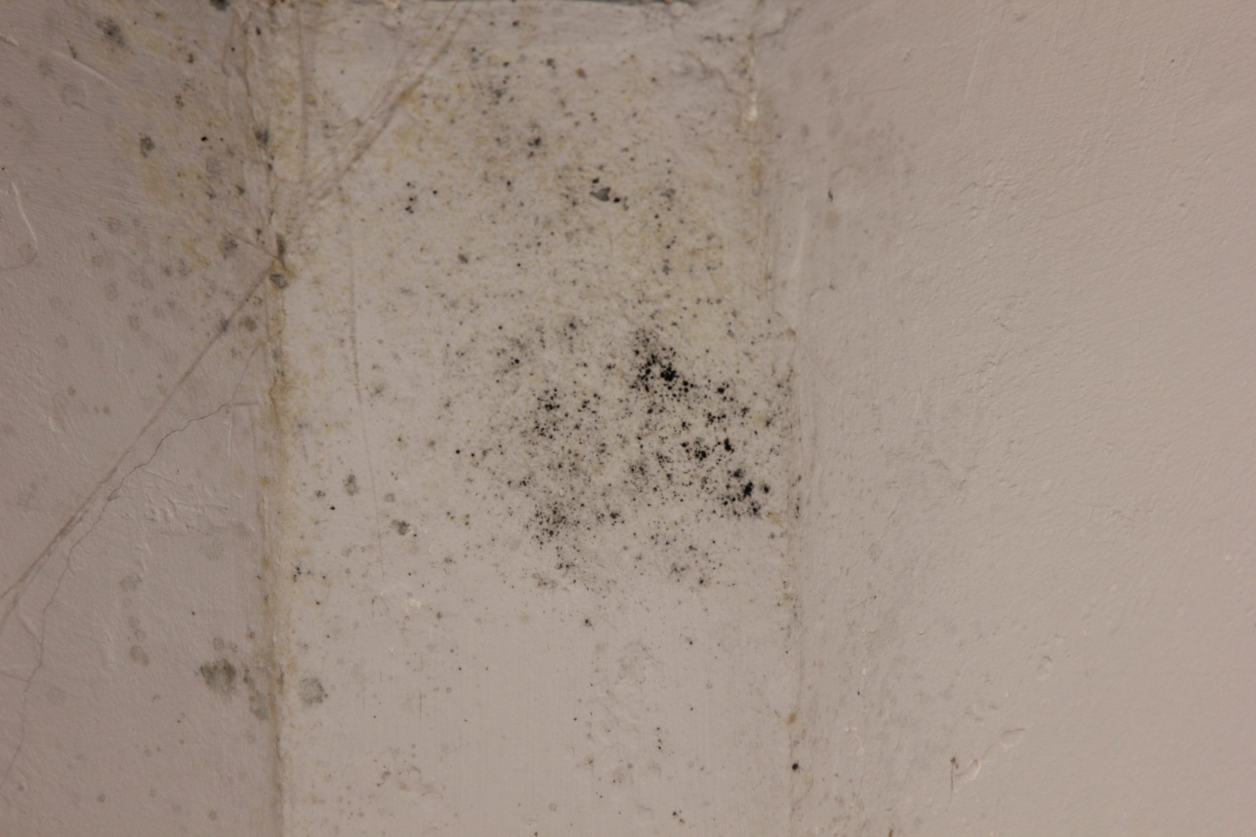 Schimmelspuren an der Wand.